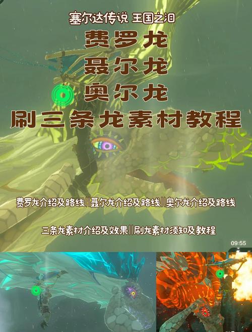 烈火飞龙怎么获得