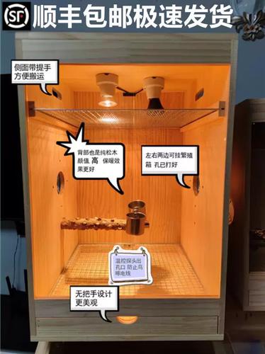鹦鹉能用暖风机加热吗