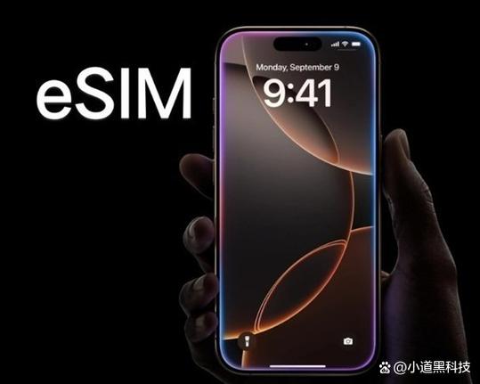 国内开放esim后美版可以用吗