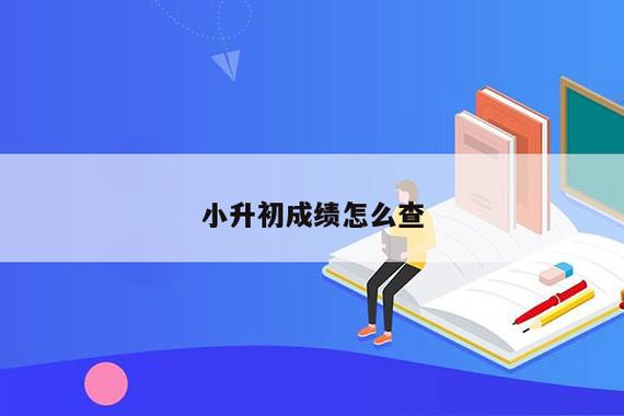 小升初查询成绩