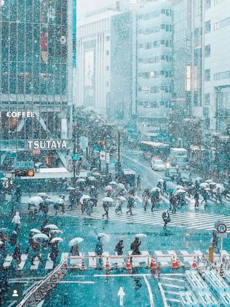 日本有多冷