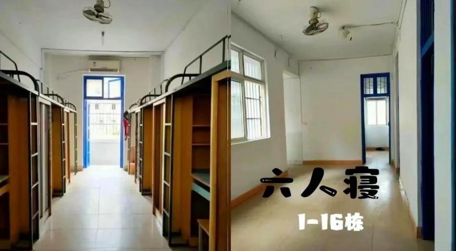 男生寝室真的会互帮互助吗截图