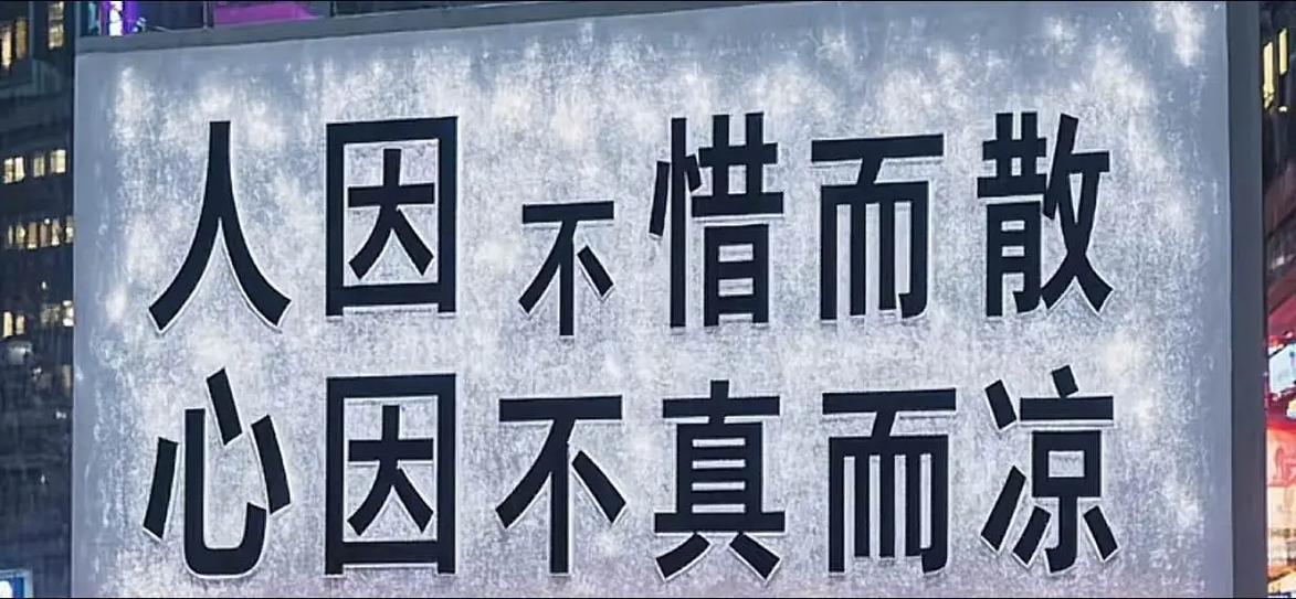 懂与惜图片