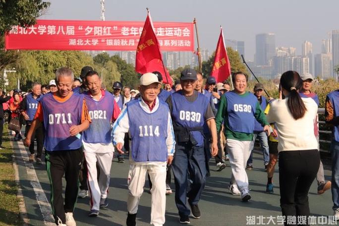 60岁老年人骑什么自行车好