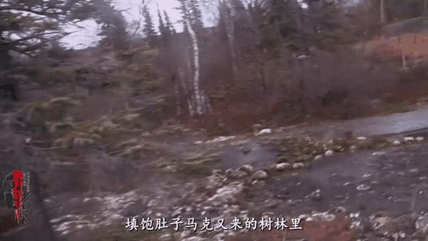 荒野求生100天缩略图