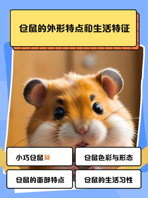 仓鼠快要死了的特征图标