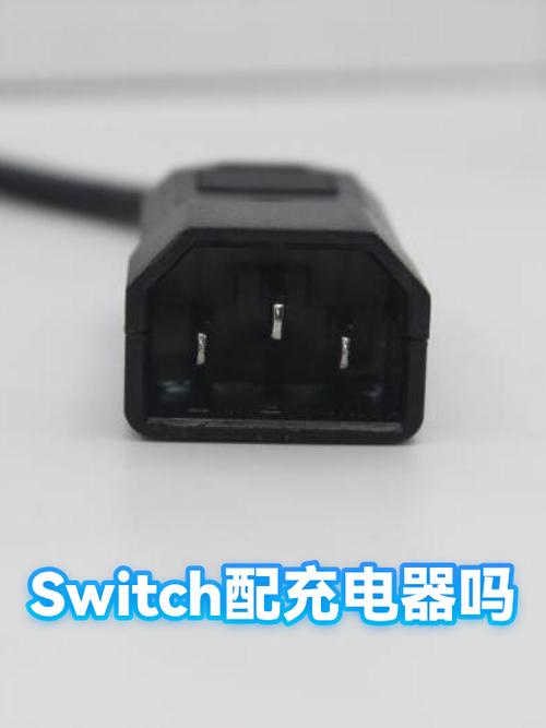 手机充电器能给switch充电吗缩略图