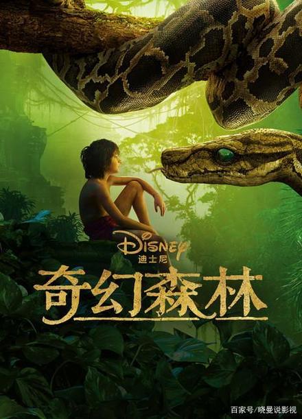 奇幻森林冒险