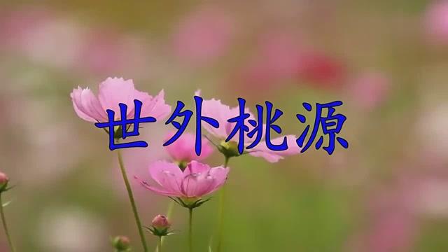 世外桃源最佳配句图标