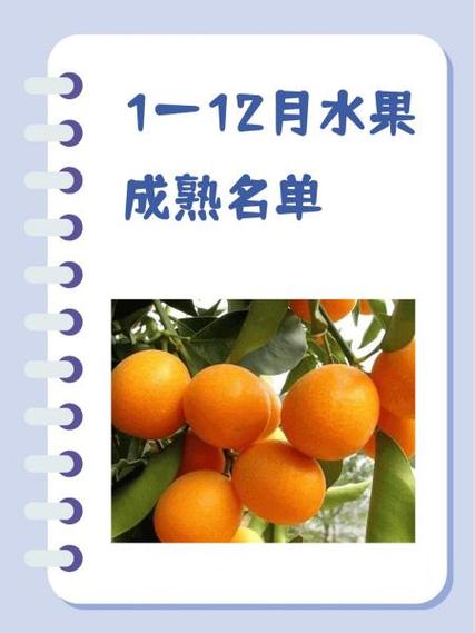 草莓橙子杨桃西瓜樱桃青桔截图