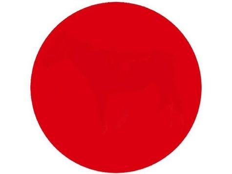 电脑桌面出现一个红色圆圈