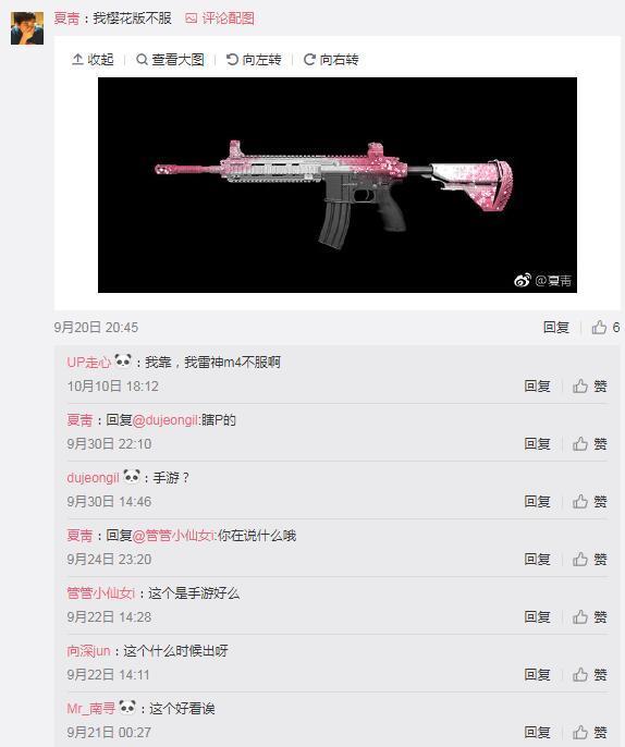 pubg樱花直装
