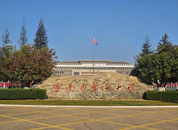 云南省招生考试院缩略图