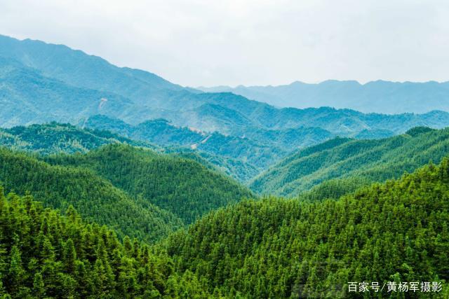 都说青山多