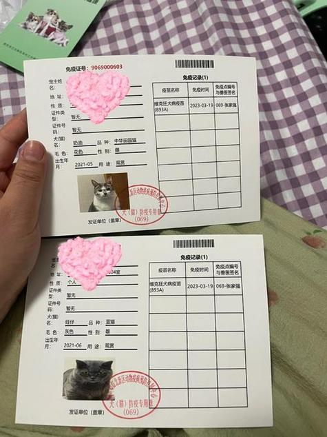 猫咪的免疫证和健康证