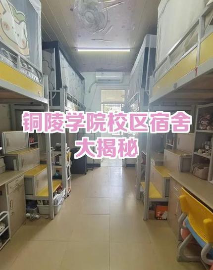 宿舍丢钱查出来几率大吗截图
