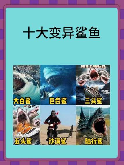 十大最强鲨鱼排名