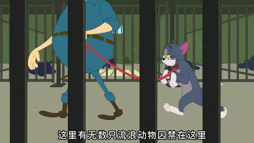 小狐猫和老鼠最新视频大全
