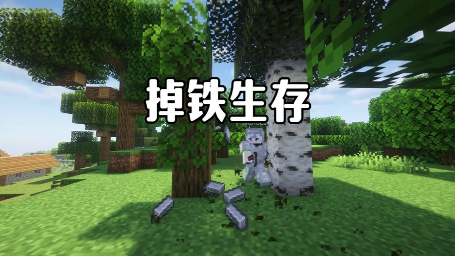 末影人能拿起哪些方块