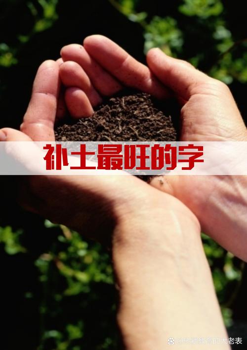 “土”添一笔