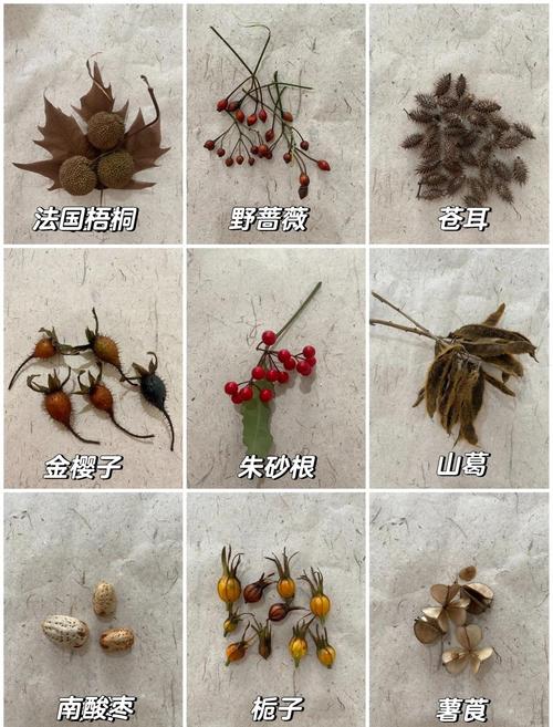 北邮人种子站
