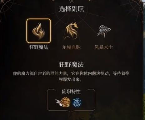 博德之门3术士构筑缩略图