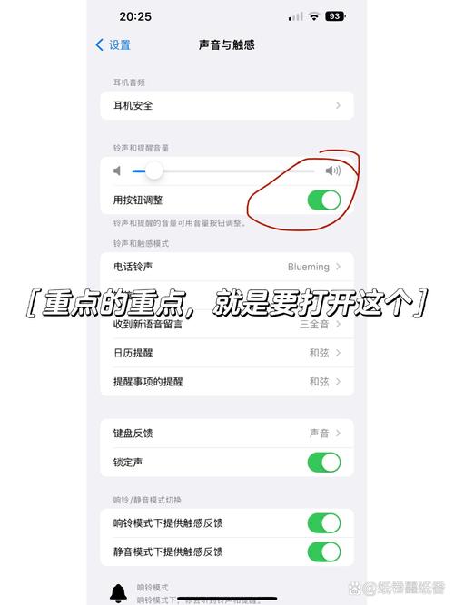 小度没有语音功能怎么办