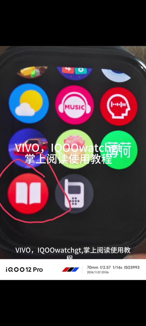 vivo 全部型号