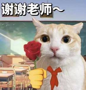 微信表情(谢谢)