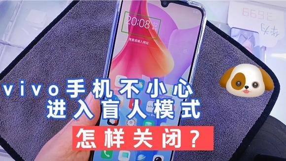 vivo手机怎么取消盲人模式