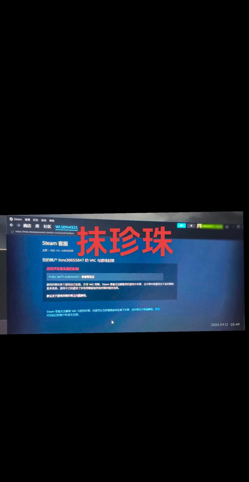 吃鸡解封教程截图