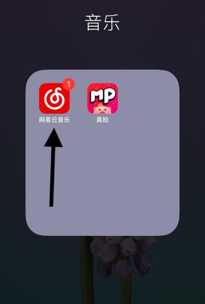网易云音乐没有歌词显示