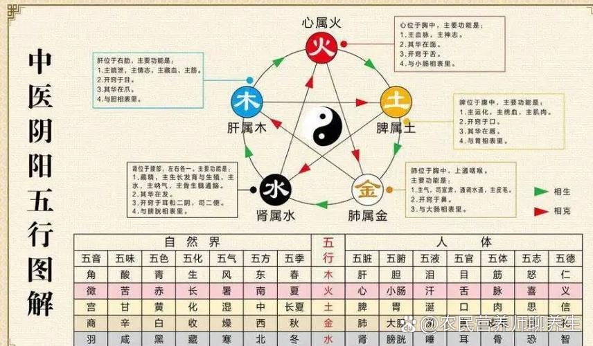 阴阳与健康的关系