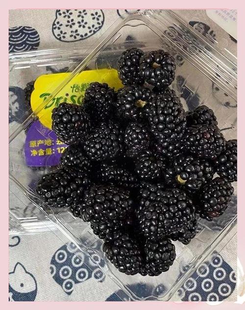 黑莓为何尽量少吃