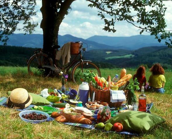 on a picnic中文意思