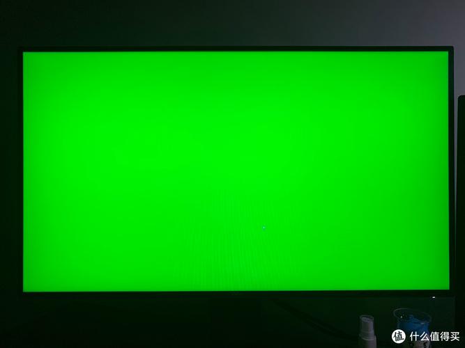 电脑显示器有绿色斑点游戏截图