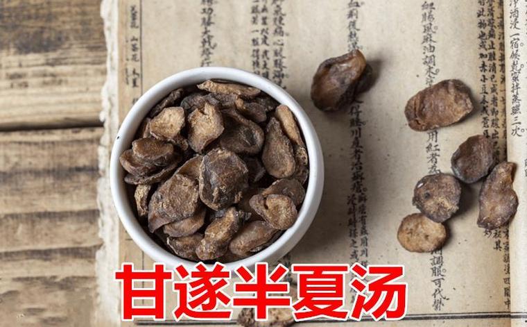 半夏甘草汤组成游戏截图