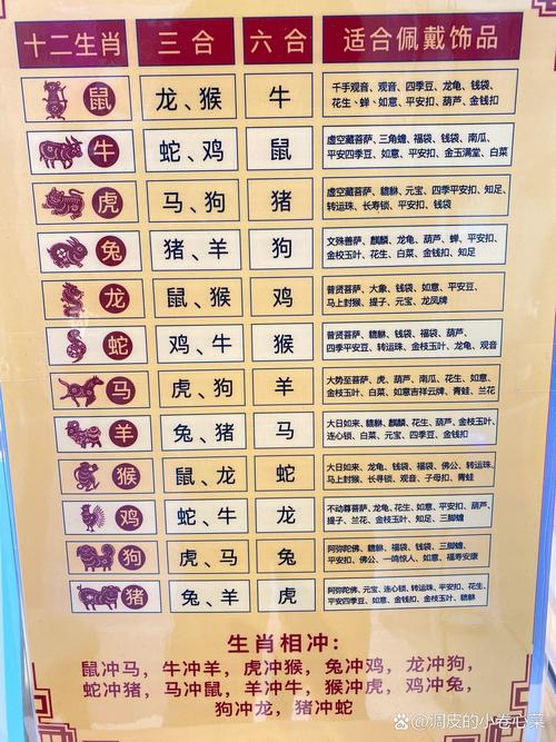 合体版型和标准版型