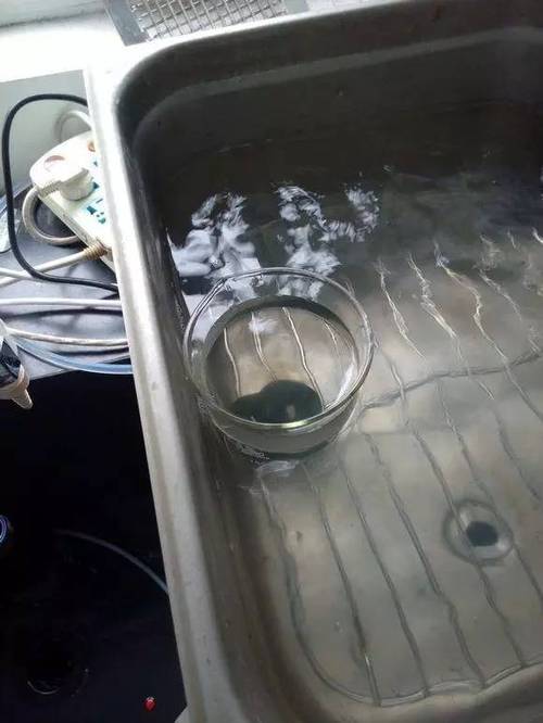 铜钱可以用开水煮吗图标