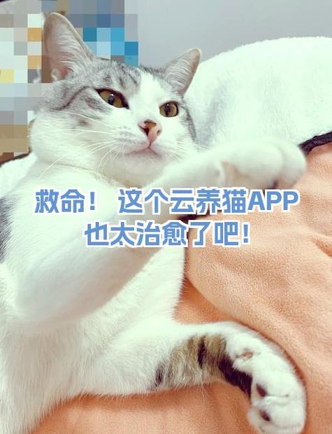 哪些云养猫的软件图标