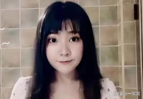 一条小团团高德语音