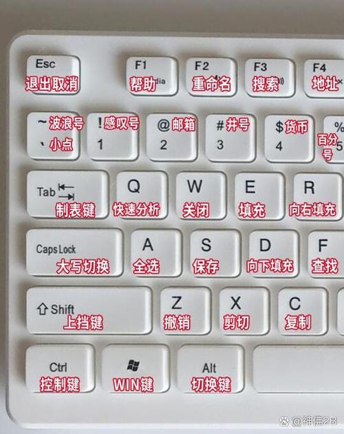 电脑上s键怎么打不出来