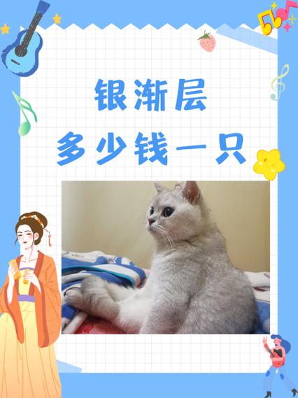 银渐层猫多少钱一只