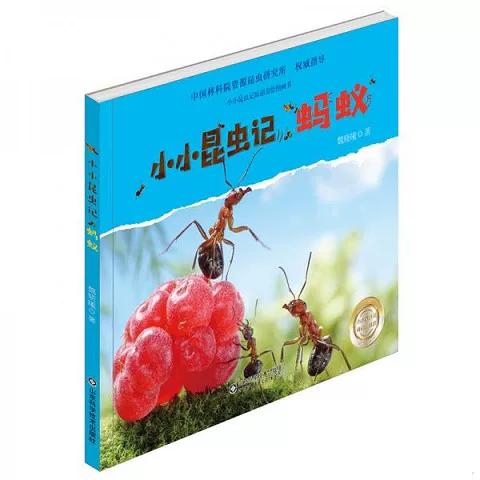 小小昆虫记