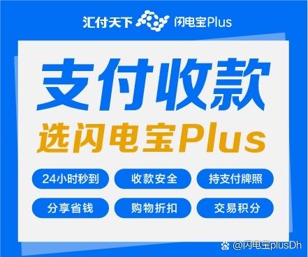 闪电宝是哪个支付公司缩略图