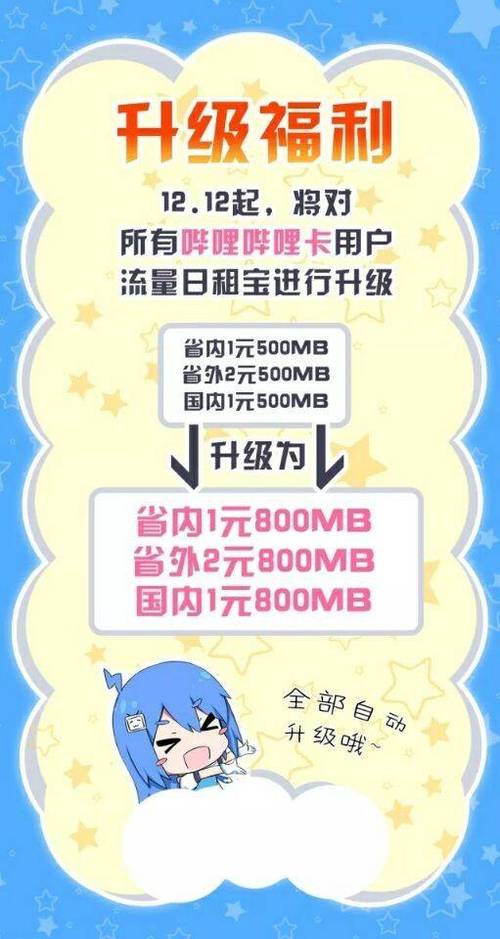 2233卡有多少流量