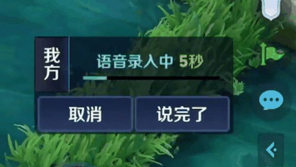 王者荣耀组队语音bug