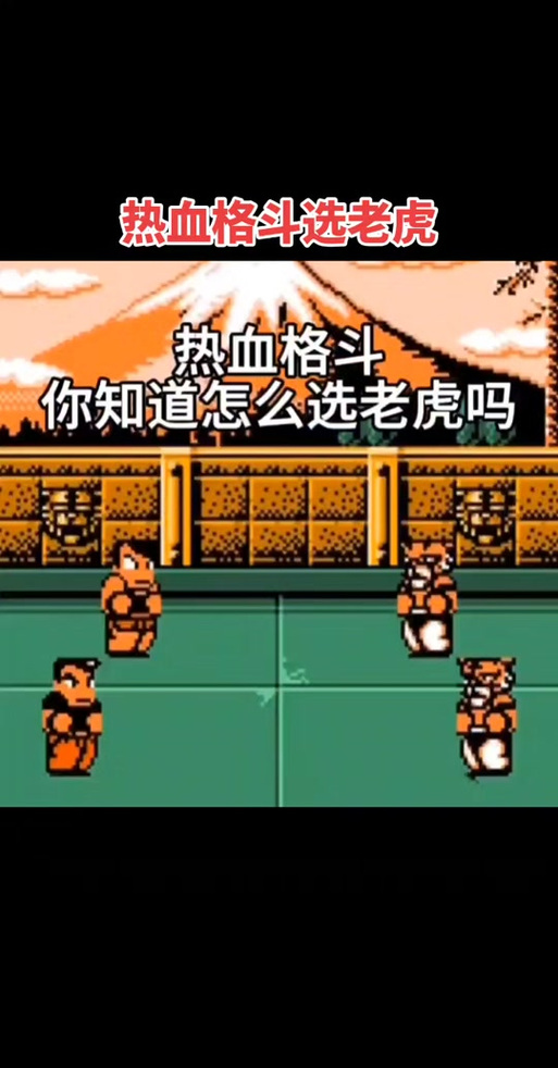热血格斗2005中文版选老虎