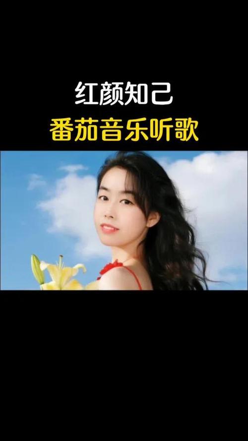 番茄音乐歌曲缩略图