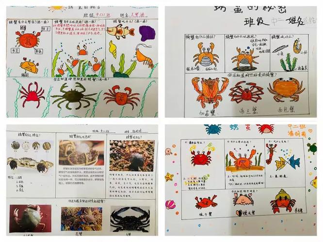 螃蟹的10个特征